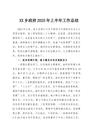 XX乡政府2025年上半年工作总结