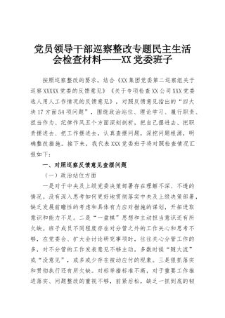 党员领导干部巡察整改专题民主生活会检查材料——XX党委班子