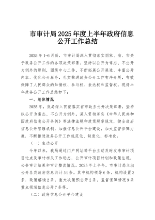 市审计局2025年度上半年政府信息公开工作总结