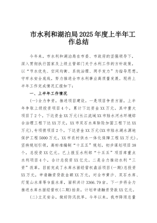 市水利和湖泊局2025年度上半年工作总结