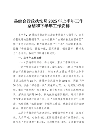 县综合行政执法局2025年上半年工作总结和下半年工作安排