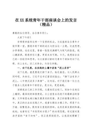 在XX系统青年干部座谈会上的发言（精品）
