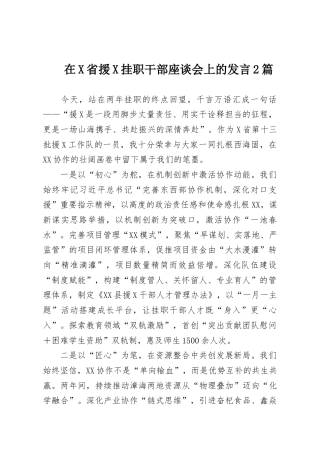 在X省援X挂职干部座谈会上的发言2篇