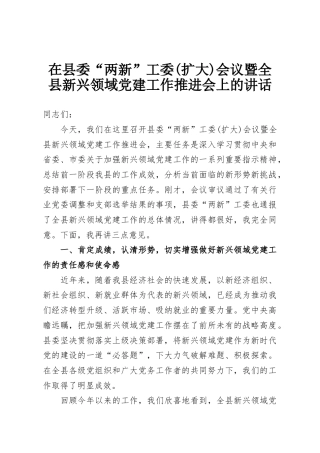 在县委“两新”工委(扩大)会议暨全县新兴领域党建工作推进会上的讲话