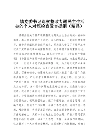 镇党委书记巡察整改专题民主生活会的个人对照检查发言提纲（精品）