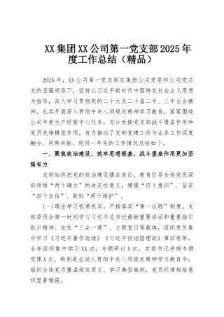 XX集团XX公司第一党支部2025年度工作总结（精品）