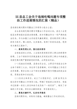 XX县总工会关于违规吃喝问题专项整治工作进展情况的汇报（精品）
