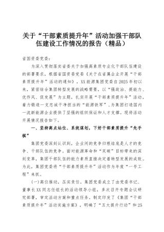 关于“干部素质提升年”活动加强干部队伍建设工作情况的报告（精品）