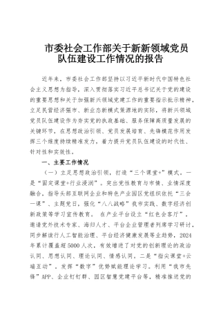 市委社会工作部关于新新领域党员队伍建设工作情况的报告