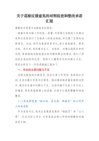 关于巡察反馈意见的对照检查和整改承诺汇报