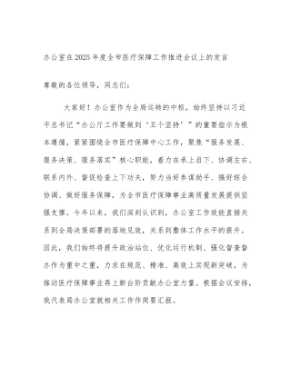 办公室在2025年度全市医疗保障工作推进会议上的发言