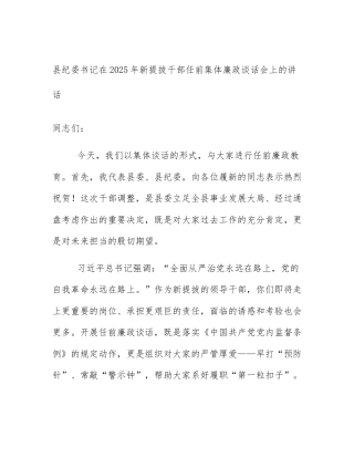县纪委书记在2025年新提拔干部任前集体廉政谈话会上的讲话
