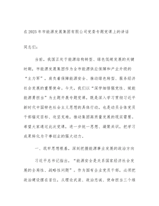 在2025年市能源发展集团有限公司党委专题党课上的讲话