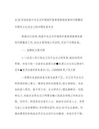 在XX市统战部中央生态环境保护督察通报典型案例问题整改专题民主生活会上的对照检查发言