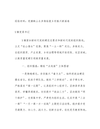 经验材料：党旗映山水多维绘就乡村振兴新画卷