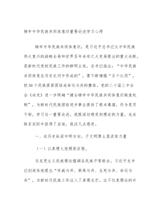 铸牢中华民族共同体意识重要论述学习心得
