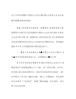 关于专项巡视整改专题民主生活会暨2024年度民主生活会查摆问题整改情况的报告