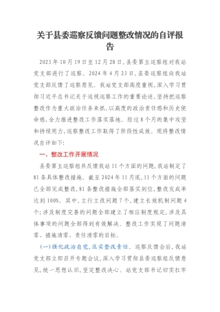 关于县委巡察反馈问题整改情况的自评报告