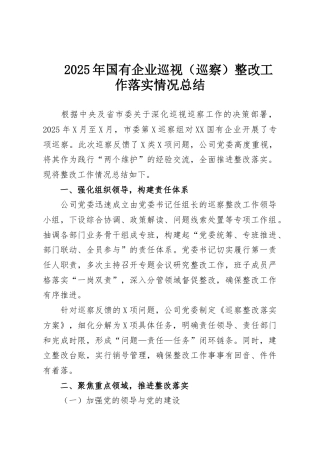 2025年国有企业巡视（巡察）整改工作落实情况总结