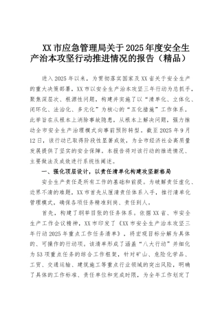 XX市应急管理局关于2025年度安全生产治本攻坚行动推进情况的报告（精品）