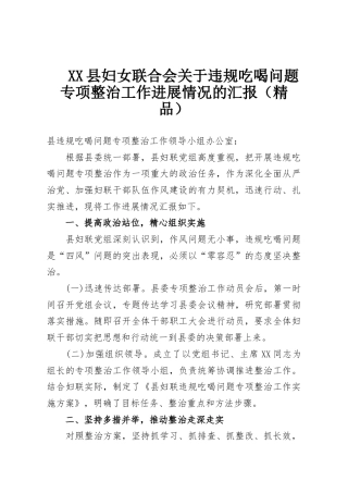 XX县妇女联合会关于违规吃喝问题专项整治工作进展情况的汇报（精品）