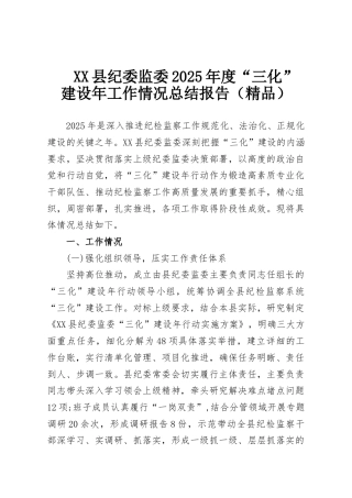 XX县纪委监委2025年度“三化”建设年工作情况总结报告（精品）