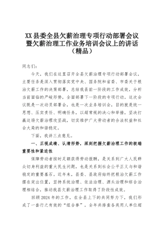 XX县委全县欠薪治理专项行动部署会议暨欠薪治理工作业务培训会议上的讲话（精品）