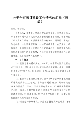 关于全市项目建设工作情况的汇报（精品）