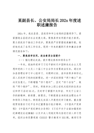 某副县长、公安局局长202x年度述职述廉报告
