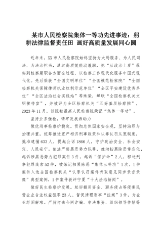 某市人民检察院集体一等功先进事迹：躬耕法律监督责任田 画好高质量发展同心圆