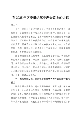 在2025年区委组织部专题会议上的讲话