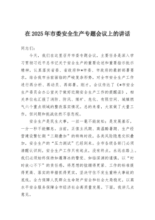 在2025年市委安全生产专题会议上的讲话