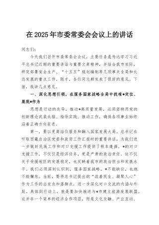 在2025年市委常委会会议上的讲话