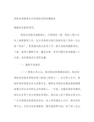 县税务局副局长向巡察组述职述廉报告