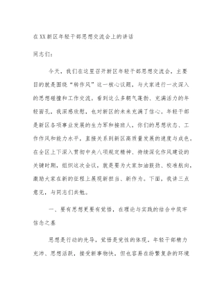 在XX新区年轻干部思想交流会上的讲话