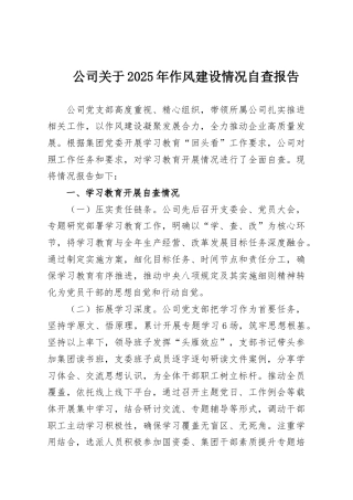 公司关于2025年作风建设情况自查报告