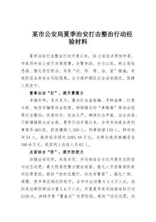某市公安局夏季治安打击整治行动经验材料