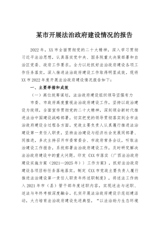 某市开展法治政府建设情况的报告