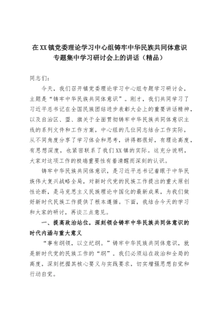 在XX镇党委理论学习中心组铸牢中华民族共同体意识专题集中学习研讨会上的讲话（精品）