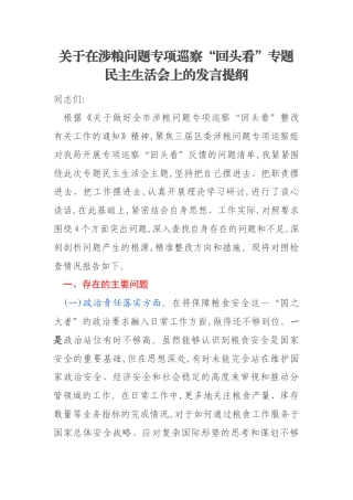 关于在涉粮问题专项巡察“回头看”专题民主生活会上的发言提纲