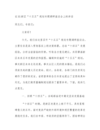 在XX新区“十五五”规划专题调研座谈会上的讲话