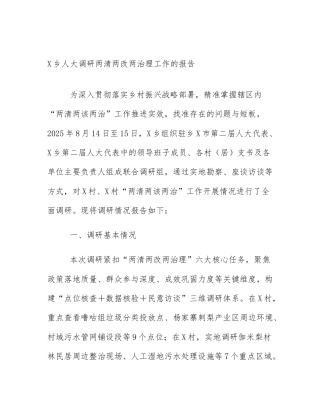 X乡人大调研两清两改两治理工作的报告