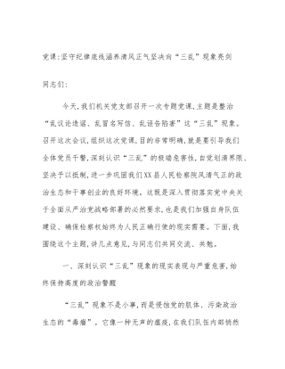 党课_坚守纪律底线涵养清风正气坚决向“三乱”现象亮剑