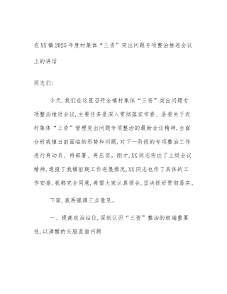 在XX镇2025年度村集体“三资”突出问题专项整治推进会议上的讲话