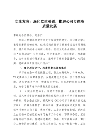 交流发言：深化党建引领，推进公司专题高质量发展