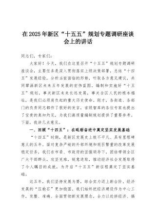 在2025年新区“十五五”规划专题调研座谈会上的讲话
