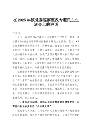 在2025年镇党委巡察整改专题民主生活会上的讲话