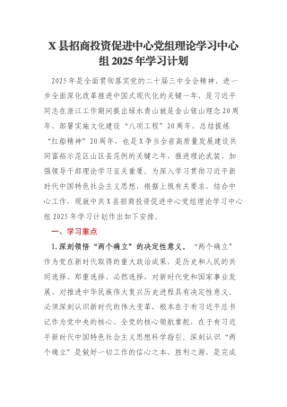 X县招商投资促进中心党组理论学习中心组2025年学习计划