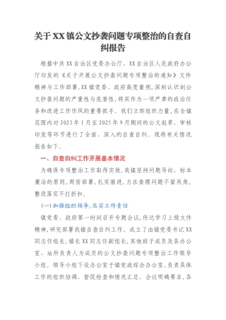 关于XX镇公文抄袭问题专项整治的自查自纠报告