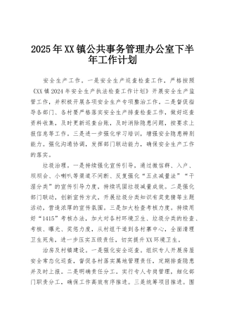 2025年XX镇公共事务管理办公室下半年工作计划